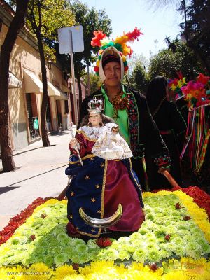 Carnaval de Bolivia en Tlalpan / Bolivian Carnival in Tlalpan 02-07
Keywords: Cofraternidad Boliviano Mexicana Tinkus Virgen  Socavon Carnaval Bolivia Tlalpan Bolivian Carnival