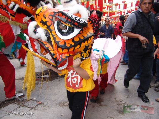 AÃ±o Chino en MÃ©xico/ Chinese Year in Mexico 2006   (04-12)
Hasta los niÃ±os participaban poniendo todo su esfuerzo.

Even the childs participated in the event with all their best. 
Keywords: AÃ±o Chino  Mexico Chinese Year Mexico 2006 china