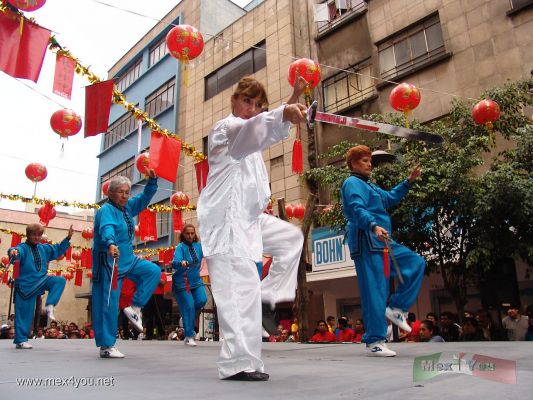 AÃ±o Chino en MÃ©xico/ Chinese Year in Mexico 2006   (05-12)
No podÃ­an faltar las exhibiciones de artes marciales. 

The people could enjoy the martial art exhibitons.
Keywords: AÃ±o Chino  Mexico Chinese Year Mexico 2006 china