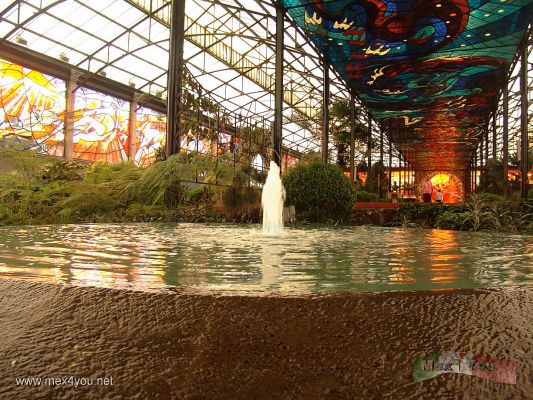 Jardin Botanico Cosmovitral Toluca
Keywords: Jardin Botanico Cosmovitral Toluca Estado Mexico