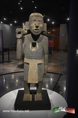 45 años del hallazgo de Coyolxauhqui (02-05)
Gracias a este gran hallazgo se pensó en realizar un museo de sitio donde con otras 150 piezas se recordará y se hará un festejo a propósito de este, que es una de las maravillosas piezas prehispánicas que ahora son íconos de la cultura mexica. 

A partir del 25 de febrero de 2023, la exposición temporal Coyolxauhqui: El astro, la diosa, el hallazgo. A 45 años de su descubrimiento, alojada en el Museo del Templo Mayor (MTM), presenta 158 objetos arqueológicos de piedra, cerámica, hueso, copal y restos óseos humanos, provenientes de los primeros trabajos de la Dirección de Salvamento Arqueológico, así como de las subsiguientes temporadas de excavación del PTM, hasta los localizados recientemente por parte de este último.


Text & Photo by: A
Keywords: 45 años coyolxauhqui templo mayor mexicas aztecas