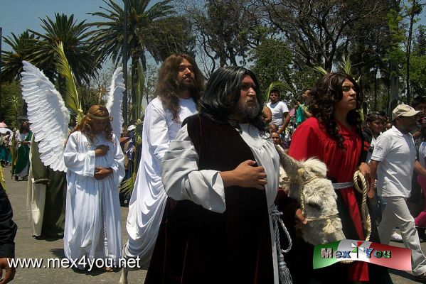 Domingo de Ramos en Iztapalapa  2014 (12-12)
Keywords: domingo ramos iztapalapa pasion jesucristo cristo semana santa mayor