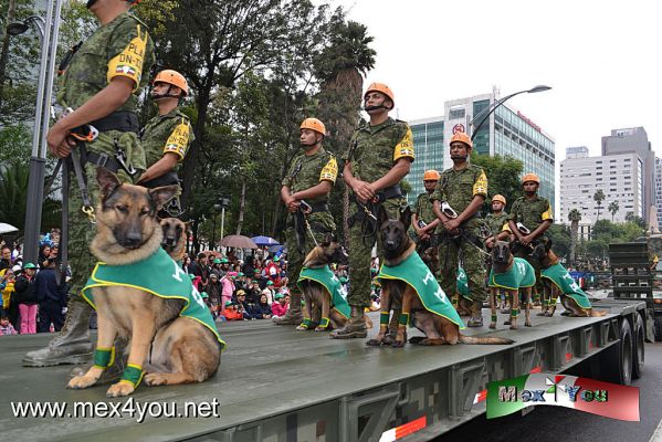 Desfile Militar del 16 de Septiembre (14-22)
Keywords: desfile militar 16 septiembre armada mexico fiestas patrias independencia ciudad mexico centro historico