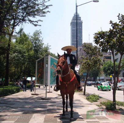 Policia Montada en la Alameda / Mounted Police in the Alameda.
Keywords: Policia Montada en la Alameda  Mounted Police in the Alameda Mexico city ciudad