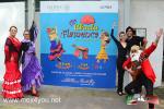 Espectáculo Flamenco para niños