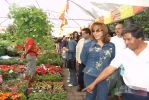 Feria de las Flores 2005