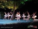 Ballet El Lago de los Cisnes 2012