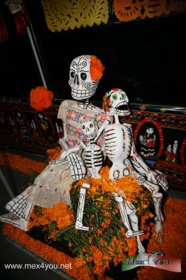 DÃ­a de Muertos / Day of the Dead  Zocalo (04-23)
Keywords: dia muertos day dead death calaveras skull skulls  zocalo ciudad mexico