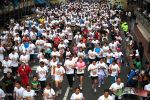 Maratón Internacional de la Ciudad de México 2011