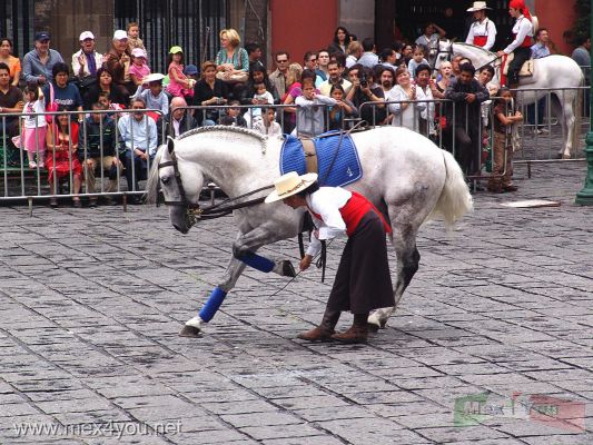 Actividades Rehilete Ciudad MÃ©xico Verano 2008 /  Rehilete (Windwheel) Activities Mexico City Summer 2008  (04-06)
Con la guÃ­a de sus jinetes los caballos llevaron a cabo suertes como el "Peine", "El Espejo", etc. causaron la admiraciÃ³n de los asistentes y los caballos hacÃ­an reverencia a los aplausos del pÃºblico.

With the riders guide their horses conducted luck as the "comb", "The Mirror", etc.. caused the admiration of those present and the horses did reverence to the applause of the public.
Keywords: rehilete niÃ±as niÃ±os vacaciones verano summer vacations holydays  centauria caballo horse caballos horses