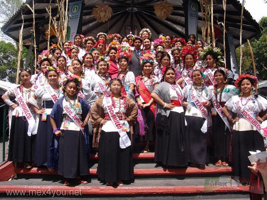 La Flor mÃ¡s Bella del Ejido / The Most Flower of Ejido Final 2008  (05-10)
Las Chicas participantes a la Flor mÃ¡s Bella del Ejido 2008 posaron ante el tradicional kiosko de la Plaza Principal de Xochimilco.

The Girls participants posed to the traditional kiosk in the main square of Xochimilco.
Keywords: flor flower ejido xochimilco mas bella