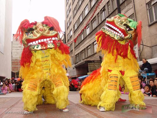 AÃ±o Chino / Chinese Year  Mexico 2008 (01-07)
TambiÃ©n estuvieron presentes los leones del norte de China, los cuales se diferencian por tener todo el cuerpo cubierto de peluchito.

We could see the lions of  northern of China, which differ by having the whole body covered with fur.
Keywords: aÃ±o chino chinese year rata mouse ciudad mexico city  lions leones lion