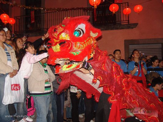 AÃ±o Chino / Chinese Year  Mexico 2008 (01-07)
Los asistentes tocan el leÃ³n, que segÃºn ellos les traerÃ¡ buena suerte durante el aÃ±o. Los chinos nos informaron que ellos no tienen esa tradiciÃ³n.

The people touch the lion, which they will bring good luck throughout the year. The Chinese told us that they have no such tradition.
Keywords: aÃ±o chino chinese year rata mouse leon lion leones ciudad mexico city