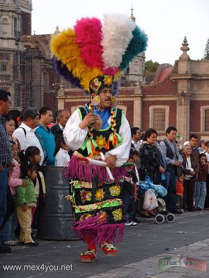 DÃ­a de la Virgen de Guadalupe / Guadalupe Virgin Day 2008 (04-05)
La Danza de los Matlachines asombrÃ³ al pÃºblico asistente a la basÃ­lica de Guadalupe con sus ritmos y colorido. 
Keywords: virgen guadalupe virgin basilica azteca conchero