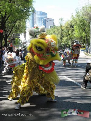 CelebraciÃ³n del AÃ±o Chino / Celebration Chinese Year in Mexico 2010 (09-12)
El sÃ¡bado 13 de Febrero se llevÃ³ a cabo el ya tambiÃ©n tradicional desfile Chino del Ãngel de la Independencia  y hasta el monumento a la madre.  Los leÃ³nes, los dragones asÃ­ como practicantes de artes marciales y representantes de asociaciones civiles de China en nuestro paÃ­s mostraron a los asistentes el colorido de este paÃ­s que ya es parte del nuestro. 

On Saturday 13th February was carried out and also the Chinese traditional parade of the Angel of Independence monument and to the mother. The lions, dragons and martial arts practitioners and representatives of civil associations in China in our country showed the attendees the colors of this country that is already part of ours.

Photo by: JesÃºs SÃ¡nchez
Keywords: aÃ±o nuevo chino ciudad mexico  new chinese year tiger tigre china city paseo reforma avenue