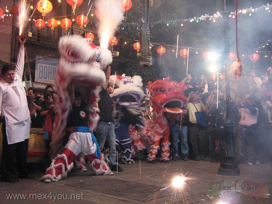 AÃ±o Nuevo Chino / New Chinese Year in Mexico City 2009 (07-12) AÃ±o del Buey
Ya en la noche usted podrÃ¡ ver los bailes de los leones que ejecutan sus danzas enfrente de los negocios para bajar las tradicionales lechugas que contienen los famosos sobres rojos con dinero, el cual es un pago a sus bailes y habilidades. Los dueÃ±os a cambio reciben la buena suerte para sus negocios durante todo el aÃ±o.  Todo esto se lleva a cabo en el marco de los fuegos aritificiales.

And at night you can see the dances of the lions that perform their dances in front of businesses to catch the traditional lettuce, which  containing the famous red envelopes with money, this is a payment to their dances and skills. Owners in return receive good luck for their business throughout the year. 
Keywords: aÃ±o nuevo chino chinese year new ciudad mexico city buey ox oxen barrio chinatown dolores street