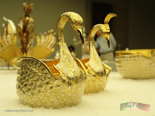 Cisnes / Swans  Plata / Plate Tane
