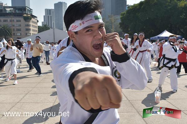 Clase Masiva de Artes Marciales en el Monumento a la Revolución (02-05)
La clase comenzó a las 10 de la mañana y en donde pudimos apreciar  familias enteras que llevaban a sus niños, adultos y adultos mayores todos vestidos con los uniformes de su estilo y llevando una banda en la cabeza que los identificaba como participantes de este evento. 

El director general del Instituto del Deporte (INDEPORTE), Javier Hidalgo Ponce, quien participó de manera activa en la Súper Clase, realizó la declaratoria inaugural. 

“Estamos muy orgullosos de este gran evento, porque las artes marciales otorgan muchos valores a quienes las practican, sobre todo a los niños y jóvenes”, relató. 

Text & Photo by: Antonio Pacheco
Keywords: Clase Masiva Artes Marciales Monumento Revolución