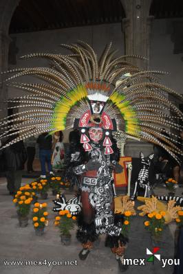 Festival Internacional día Muertos Tláhuac 2024
Entre el elenco artístico destaca la presencia de Los Invasores de Nuevo León, Tania Libertad, Diego Morán, Palomo, Los Rockin Devils y Help, grupo que realiza tributo a The Beatles. Estos y más artistas se estarán presentando de forma gratuita en dos sedes: la explanada de la alcaldía Tláhuac y la Plaza Juárez de San Andrés Mixquic

Text and Photo by: Yanín Ramírez
Keywords: mixquic dia muertos tláhuac muertes calacas