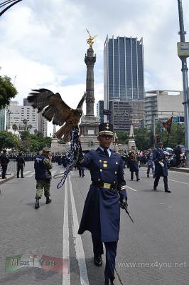 Desfile Militar 2016 (06-08)
A este desfile militar se tuvo la participaciÃ²n de:  una Bandera monumental, 48 Banderas de guerra, 23 mil 471 elementos de la columna del desfile y parada aÃ©rea del EjÃ©rcito, Armada y Fuerza AÃ©rea Mexicanos, de la PolicÃ­a Federal, AsociaciÃ³n Nacional de Charros y FederaciÃ³n Mexicana de CharrerÃ­a. AdemÃ¡s, participaron 149 aeronaves, 448 vehÃ­culos, 23 embarcaciones, 35 aves, 266 caballos y 65 canes

Text & Photo by: Antonio Pacheco 
Keywords: desfile militar fiestas patrias mexico cdmx defensa ejercito mexicano